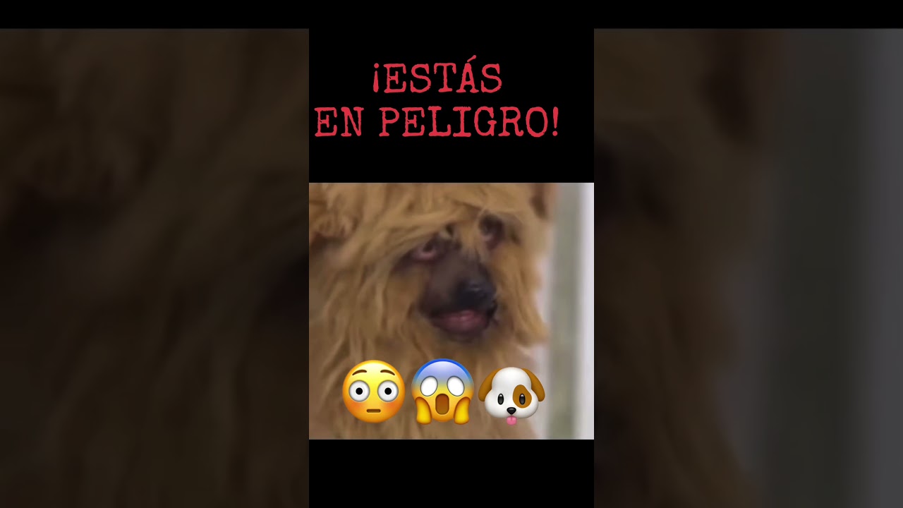 😳&iexcl;Tu Perro Es Un SKINWALKER! 😱🐶