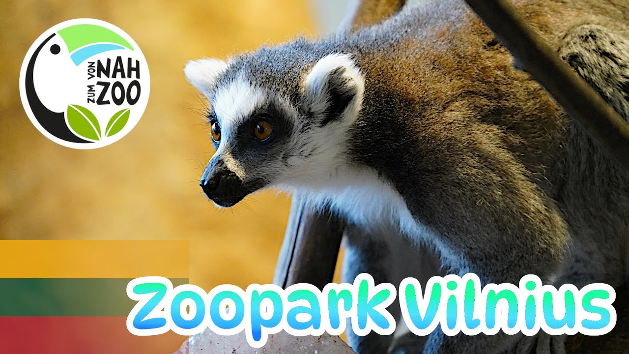 Zoopark Vilnius - Der etwas andere Indoorzoo - Von Nah zum Zoo 4k