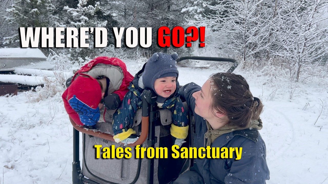 Life Stuff - We took a *short* break from YouTube.. can you spot the changes to our farm?
