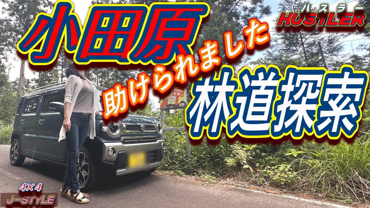 【小田原和留沢林道・日向林道】強風の中救世主現れる‼️新型ハスラー女ひとりで行ったら色々勃発😳