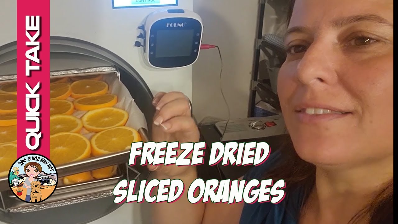 Freeze Dried Sliced Oranges