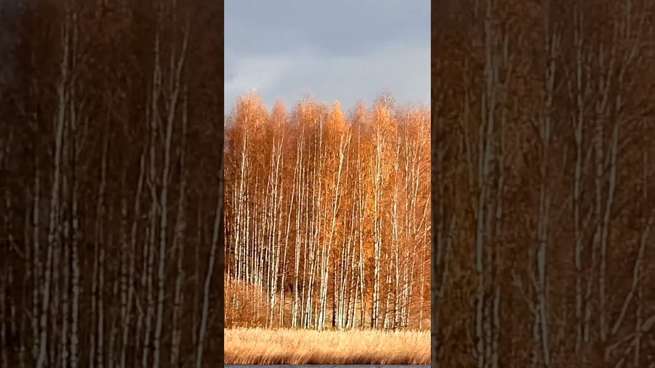 Как ни тяжел последний час...  Фёдор Тютчев #стихи #поэзия #тютчев #последнийчас #природа