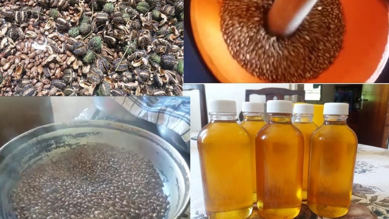 Как сделать касторовое масло дома