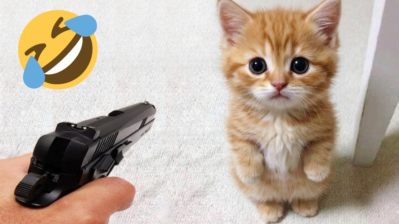 TRY NOT TO LAUGH 😆 Top Funniest Moments 😂 best funny video 2026 #8