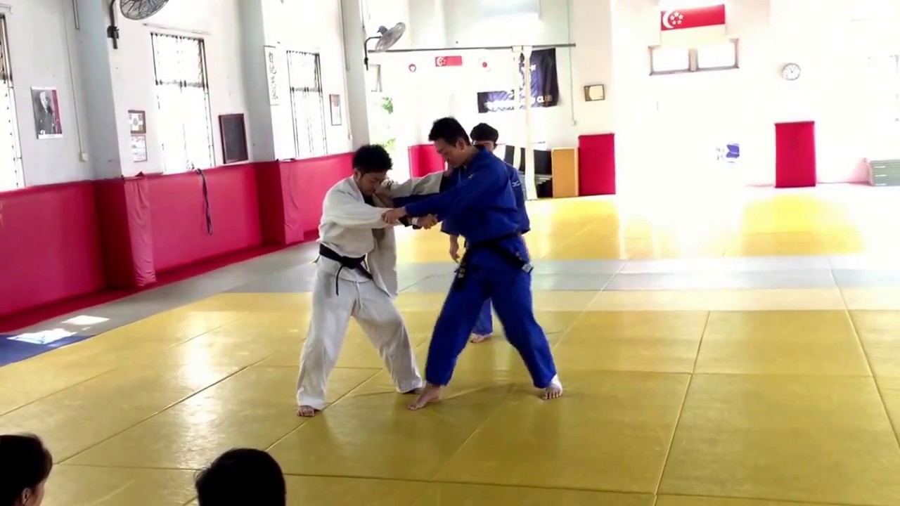 Judo Olympic Silver Medalist Hiroaki Hiraoka: Seoi Nage + Tomoe Nage + Sode Tsurikomi Goshi