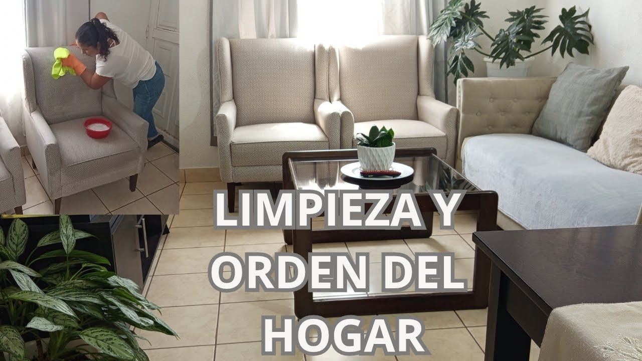 LIMPIEZA Y ORDEN DEL HOGAR 🏡 /LIMPIE 🧽UNA DE LAS BUTACAS #limpieza #rutina #hogar 