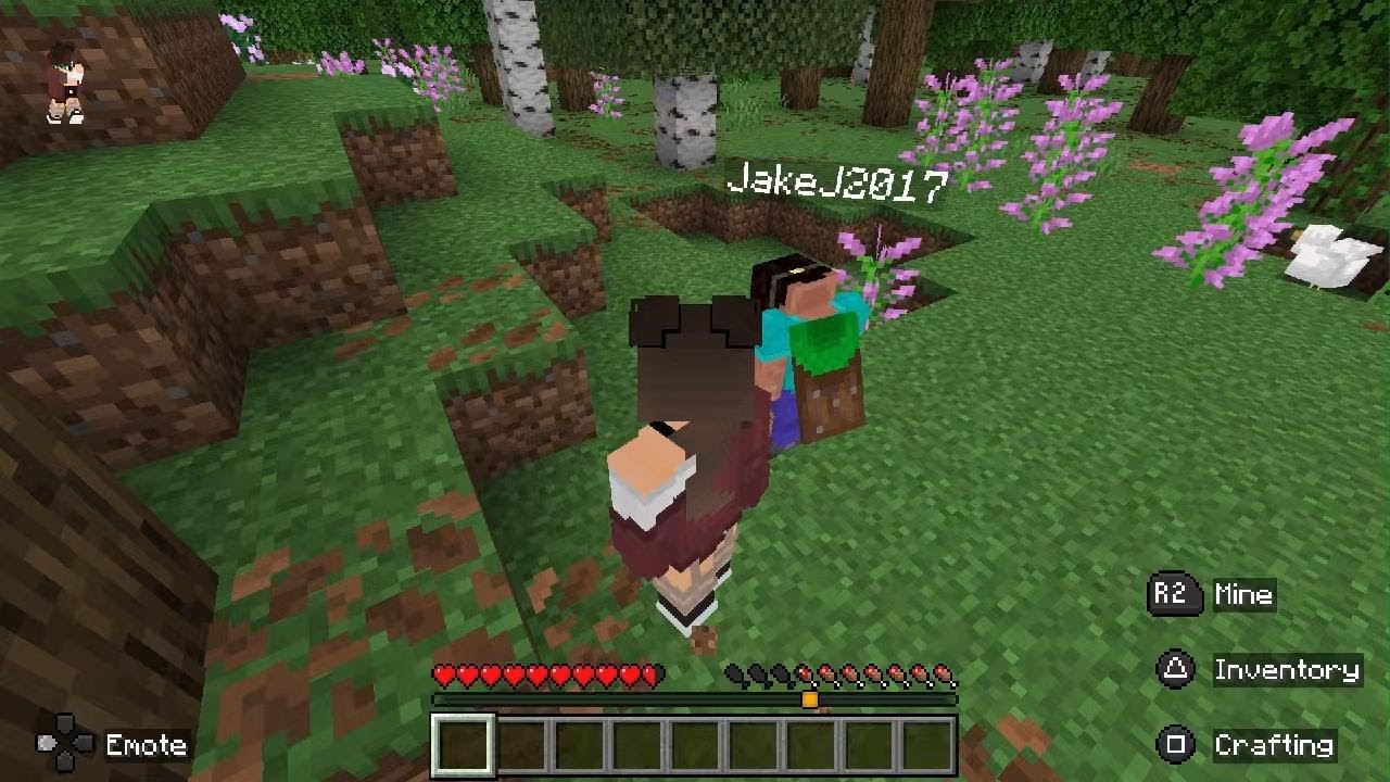 My friends.Fake finger.It's actually me.