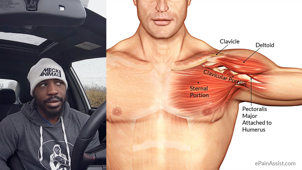 WHY I TORE MY PEC WITH WEIGHTED DIP | DETAILS | Q&A ANSWERED