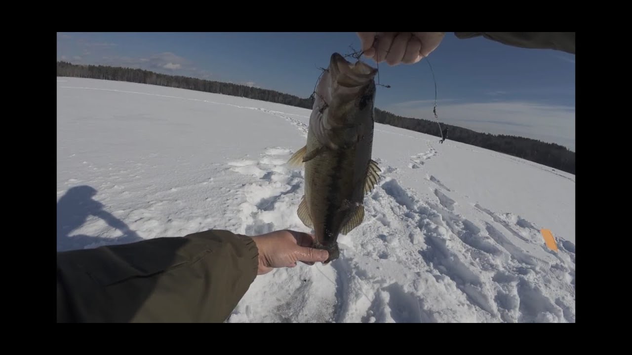 POV Ice Fishing for Bass | Massachusetts