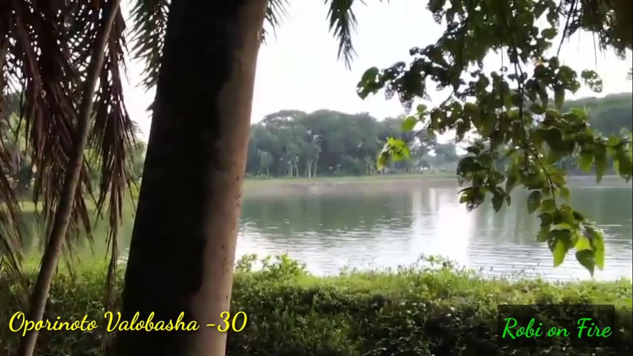 New Golpo- অপরিণত ভালোবাসা (Part-30) 