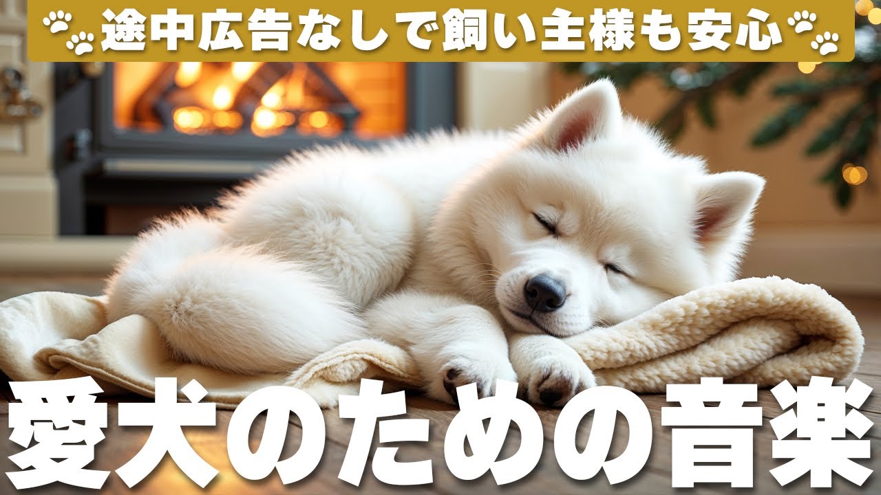 愛犬が落ち着く音楽 (12時間広告なし) 🐶 犬がリラックスする音楽 | 愛犬のストレス解消 / vol.800