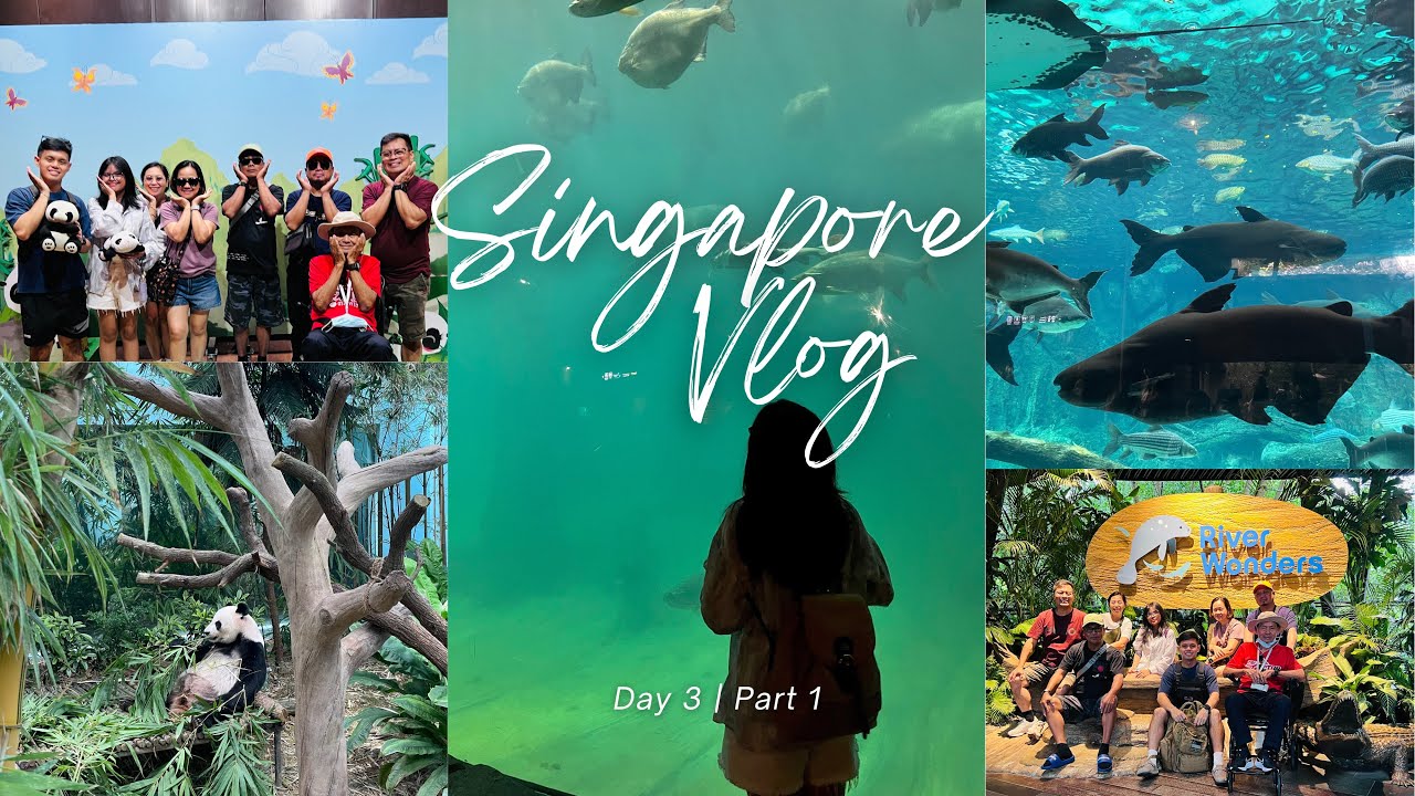 D3: Singapore Vlog ☁️ | exploring river wonders (part 1) 🐼