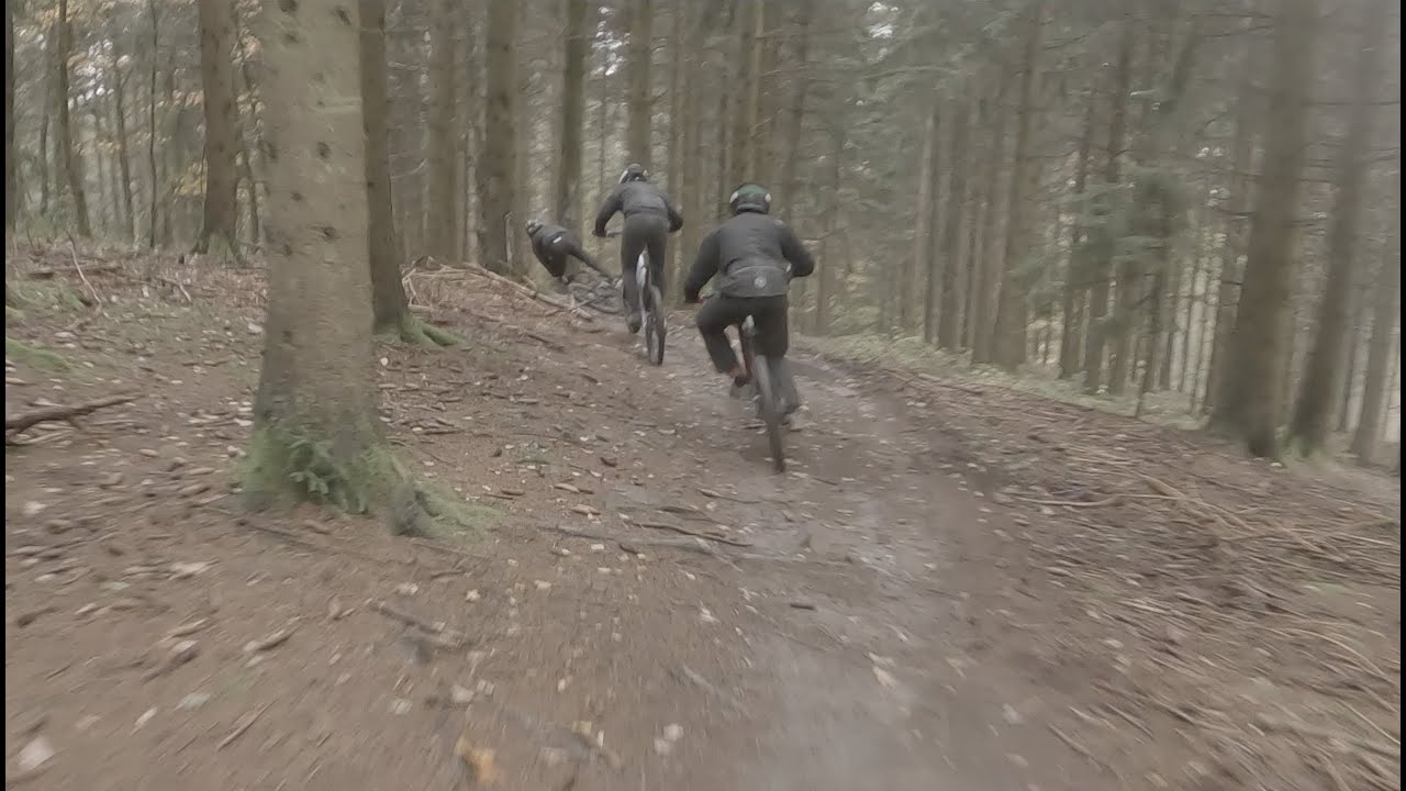 Nasse Wurzeln sind so geil 😍 shuttlelaps | MTB Heidelberg Königstuhl #mtb #heidelberg #downhill