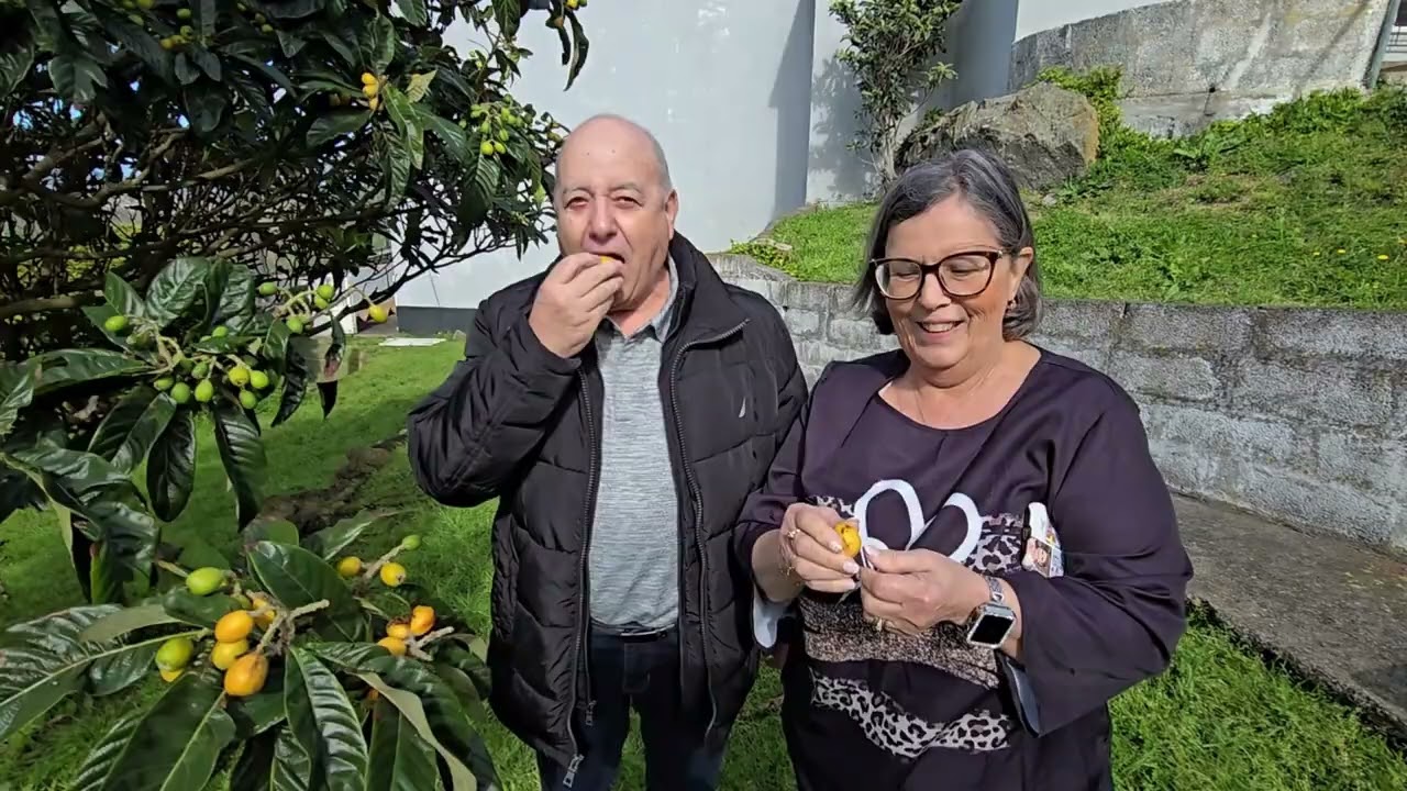 Trabalho ,  sem entrevista