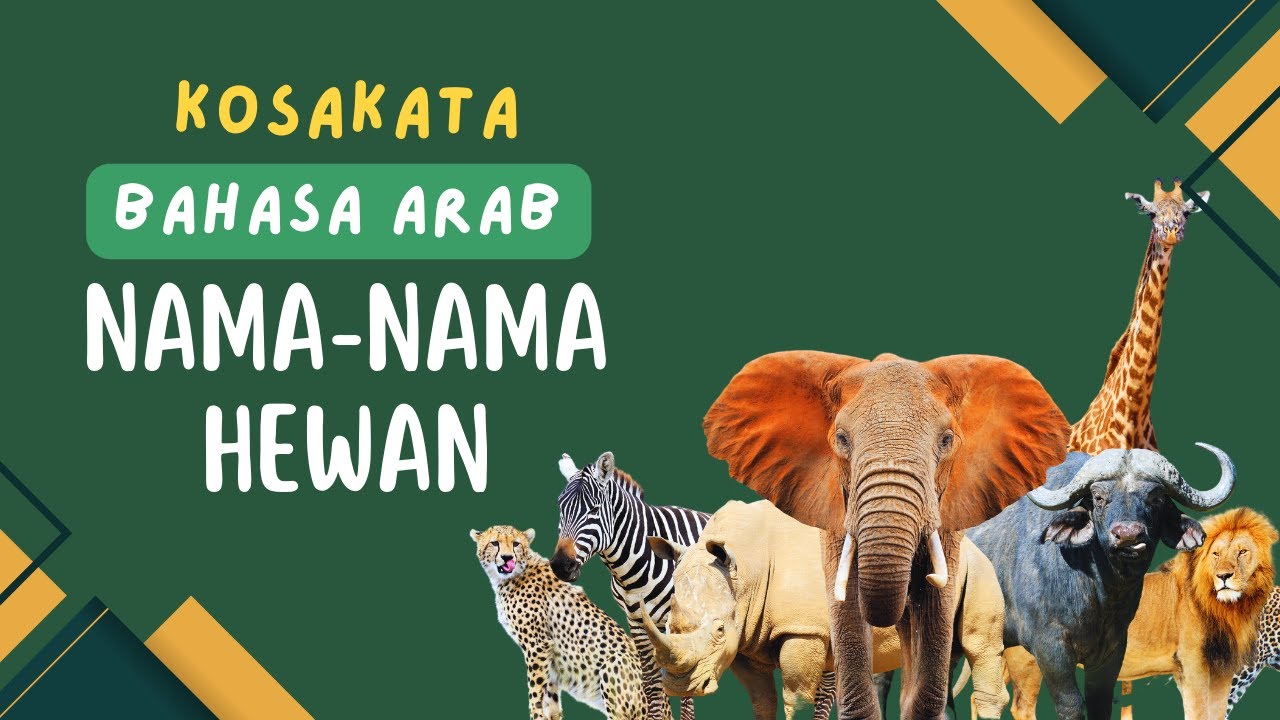 Belajar Kosakata Nama-Nama Hewan dalam Bahasa Arab dan Artinya || Mufradat TV