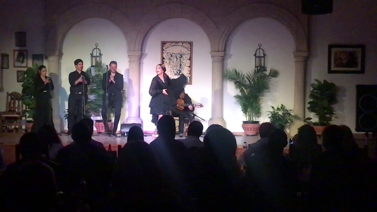 Noelia Vilches - Seguiriya - 1° Premio Concurso 