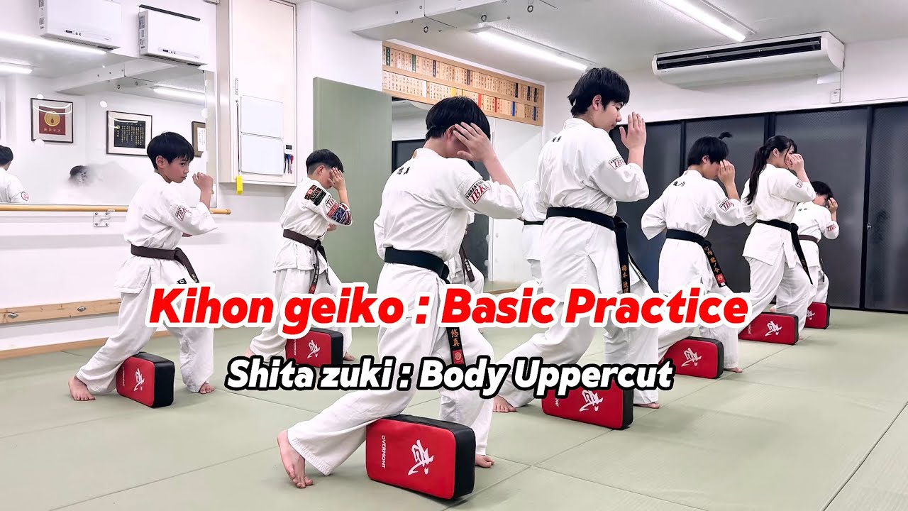 【Kihon geiko : Shita zuki】 Basic Practice : Body Uppercut 