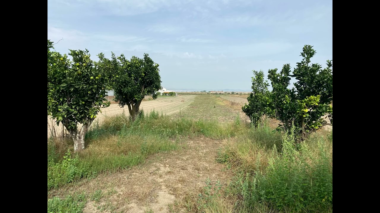 Agricultural Land with Infrastructure and Strategic Potential – São Francisco, Alcochete