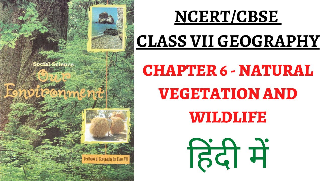 Chapter 6 (Natural Vegetation and Wildlife) 7th Class NCERT Geography Book: Our Environment (UPSC)
