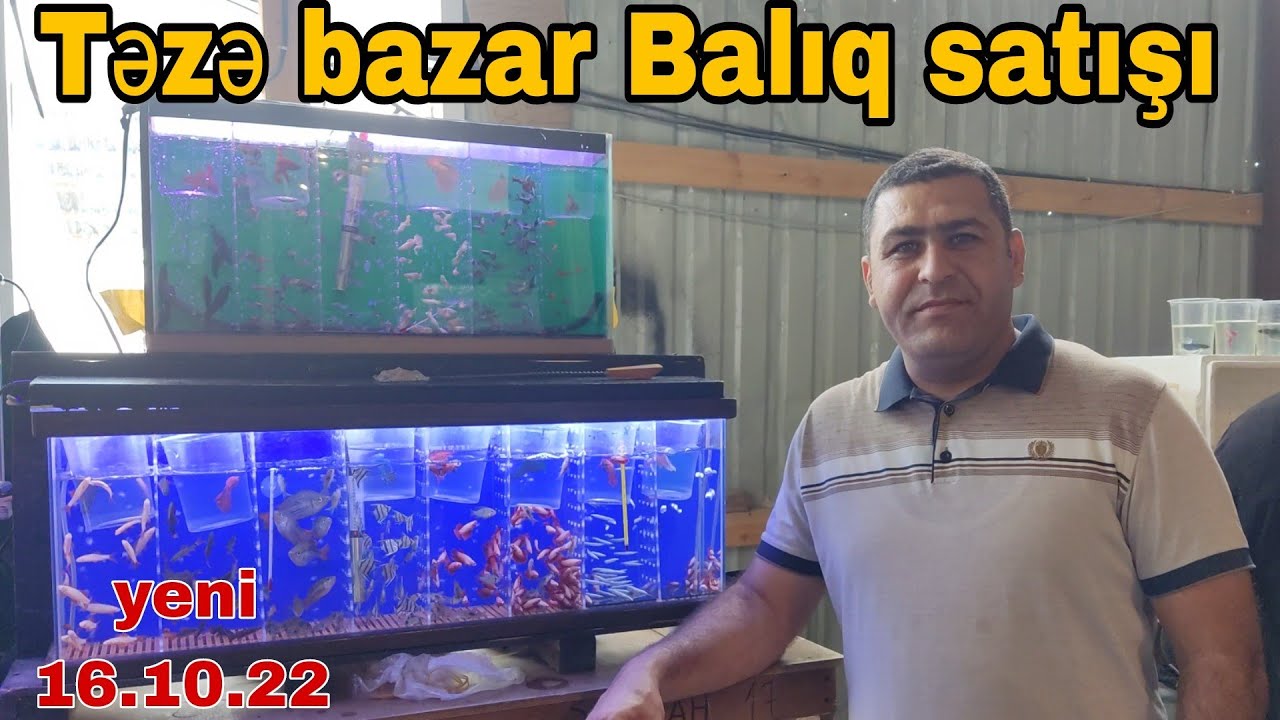 Təzə bazar balıq və Akvariumların satışı #təzəbazar #baliq #balık