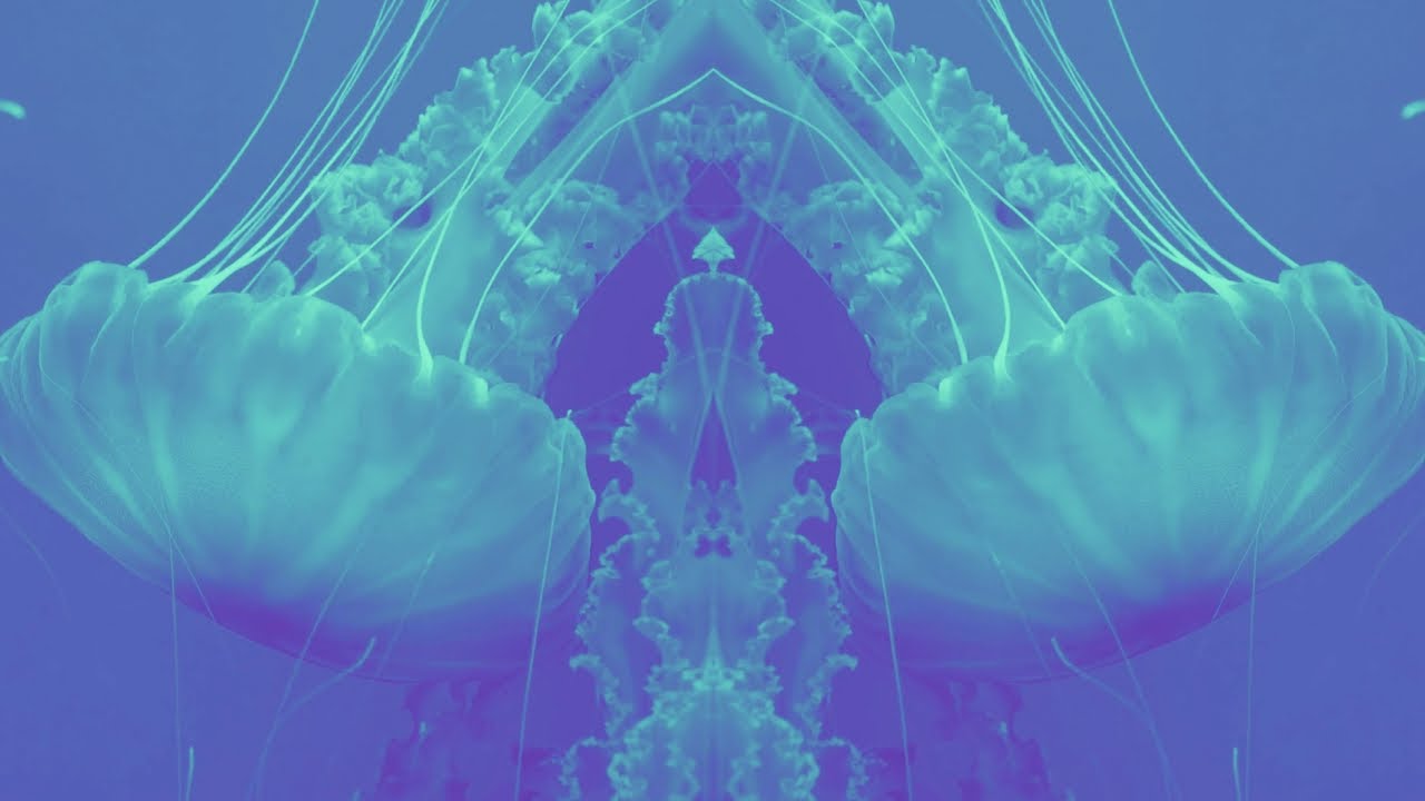 Rewire Your Brain for Inner Peace