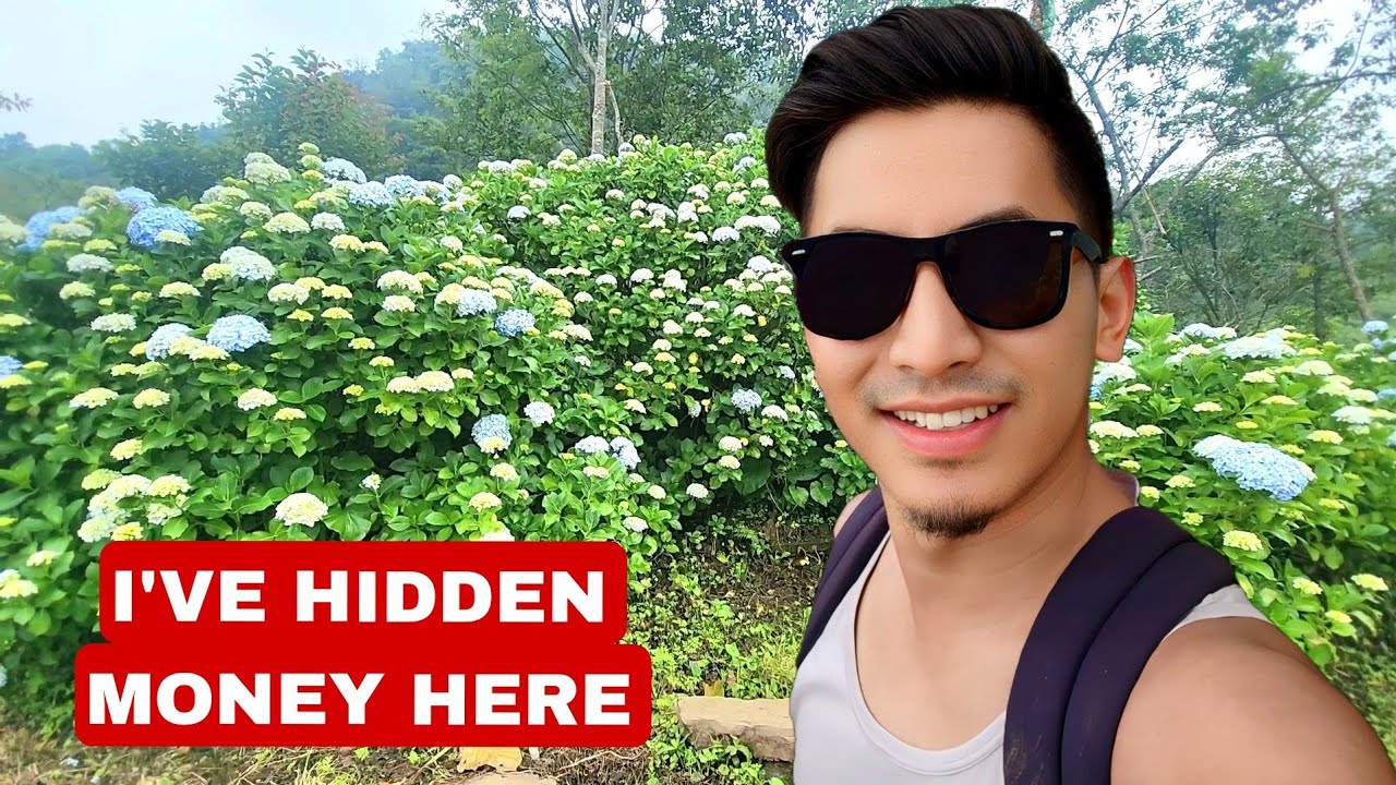 Hydrangea Garden | Kigwema Village | A must visit for everyone | Potato farm Akiile