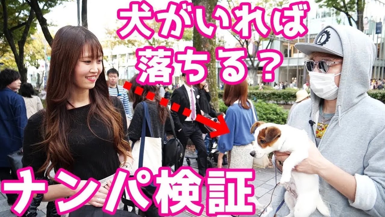 【検証】可愛い犬と一緒ならナンパ100％成功する説【ラファエル】