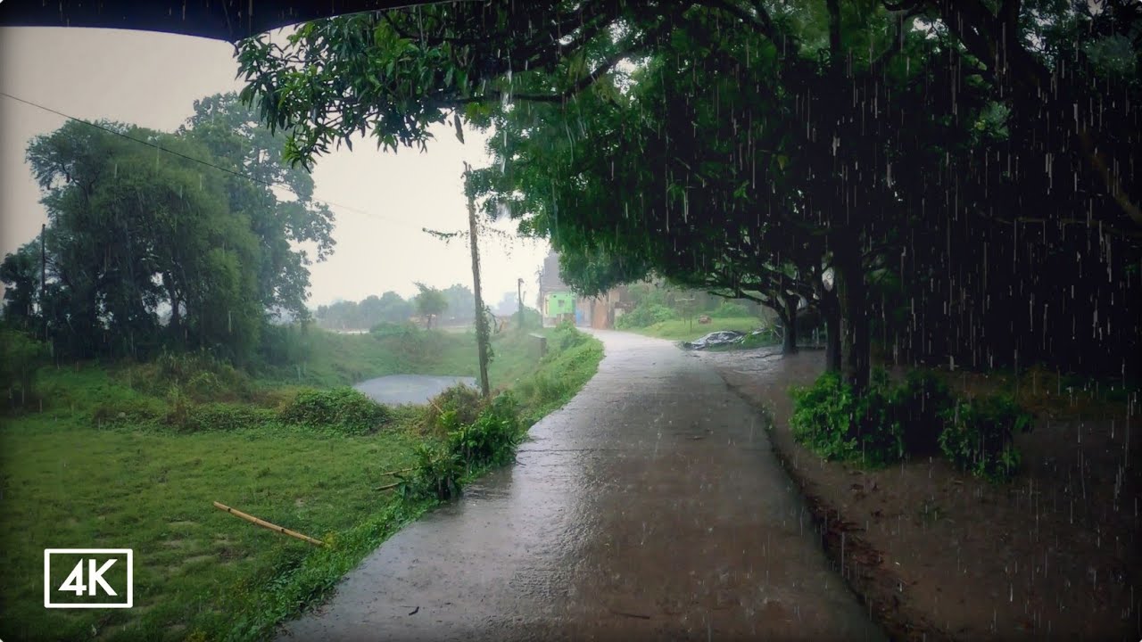 Rainy Day Walking Tour in Countryside Indian Village | ASMR Rain Sounds for Sleep And Meditation