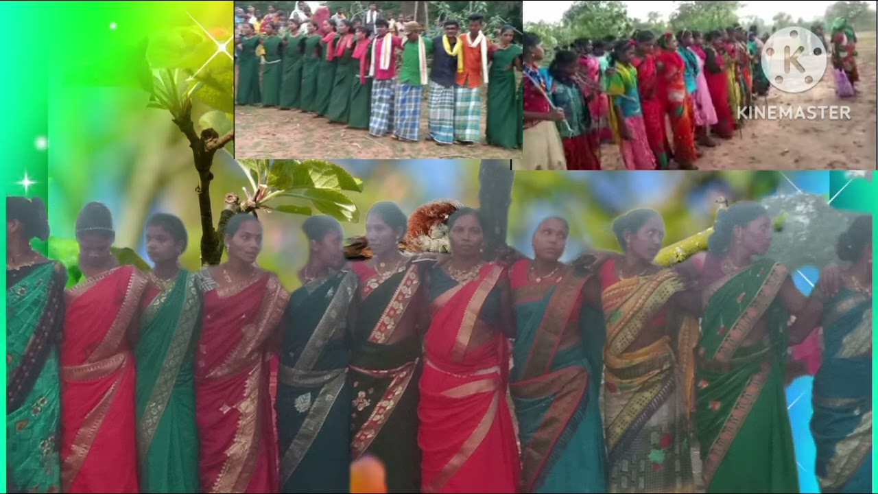 कोया गोंडी शादी गाना गीत पाटा वीडियो बस्तर संभावना आदिवासी संस्कृति  koya gondi