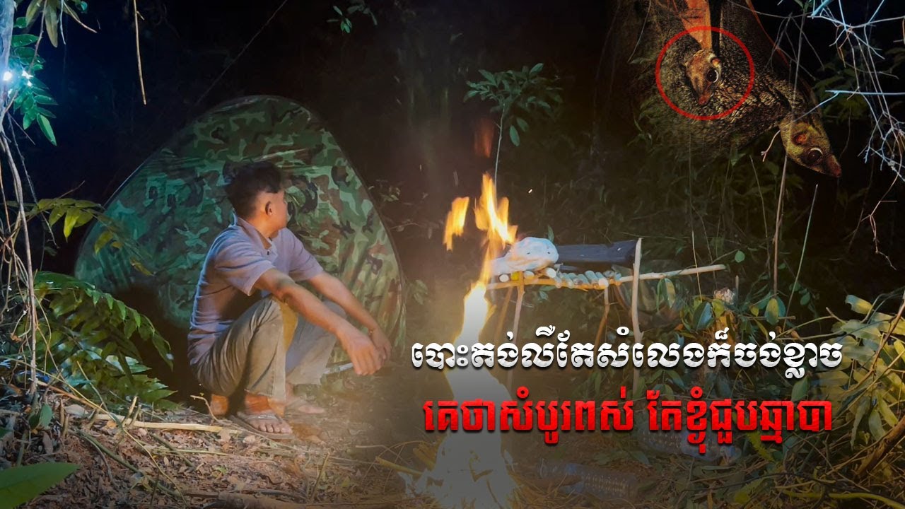 បោះតង់ក្នុងព្រៃដែលគេនិយាយសំបូរពស់ថ្លាន់ តែខ្ងុំបែបលឺសំឡេងឆ្មាបារយំពេញព្រៃ  | Solo Camping at night