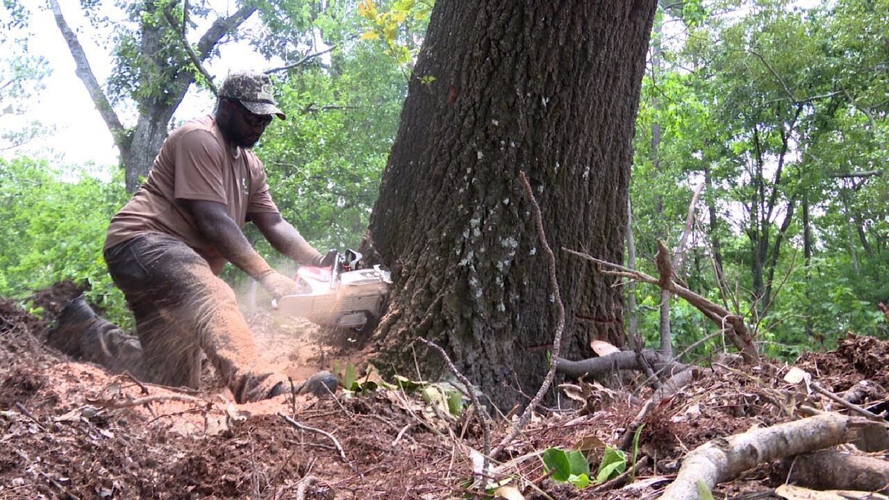 Helene contractors to see end of hurricane cleanup