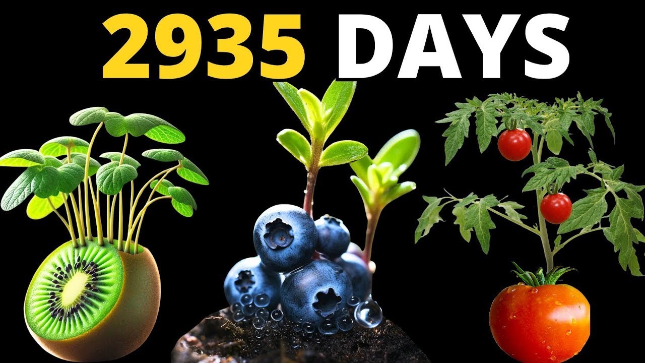 8 YEARS of Growing Plants in TIMELAPSE (Compilation)