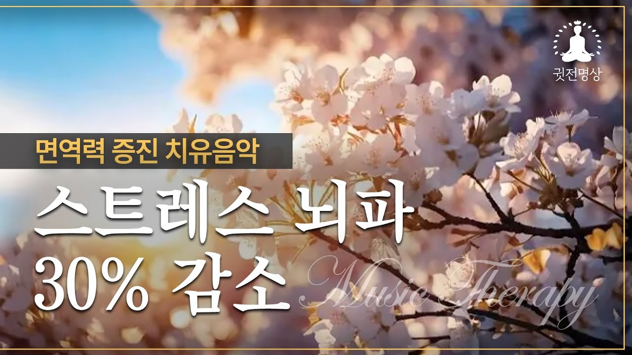 스트레스 뇌파 30% 감소, 면역력 증진 치유음악 (Music Therapy) 피아노 ▶벚꽃음악 - Korea Meditation MUSIC