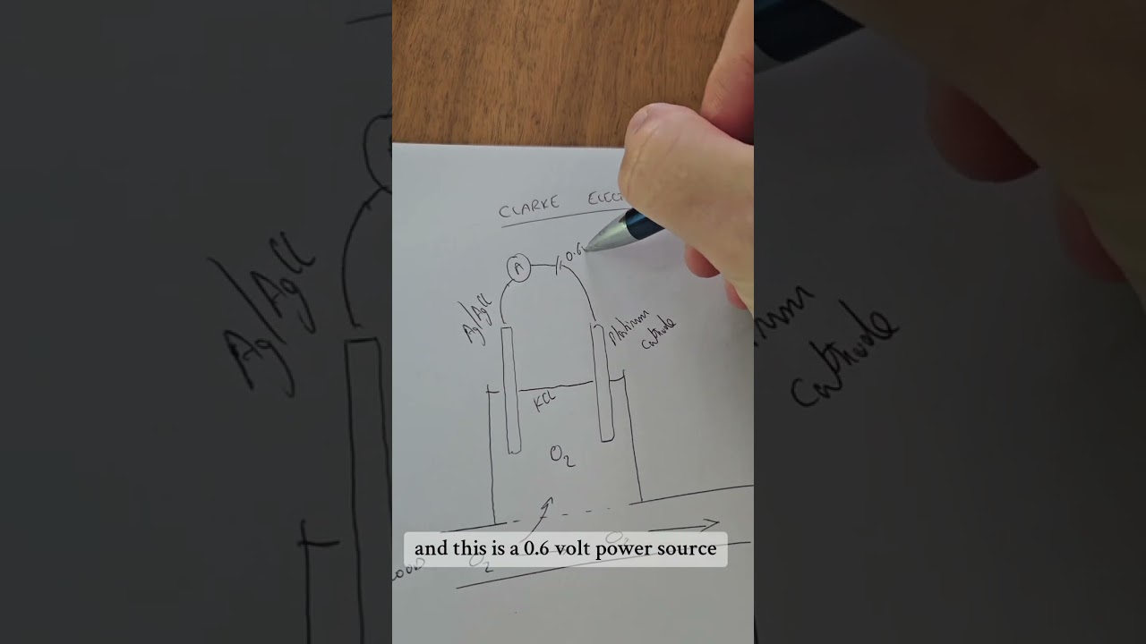 How the Clark electrode works