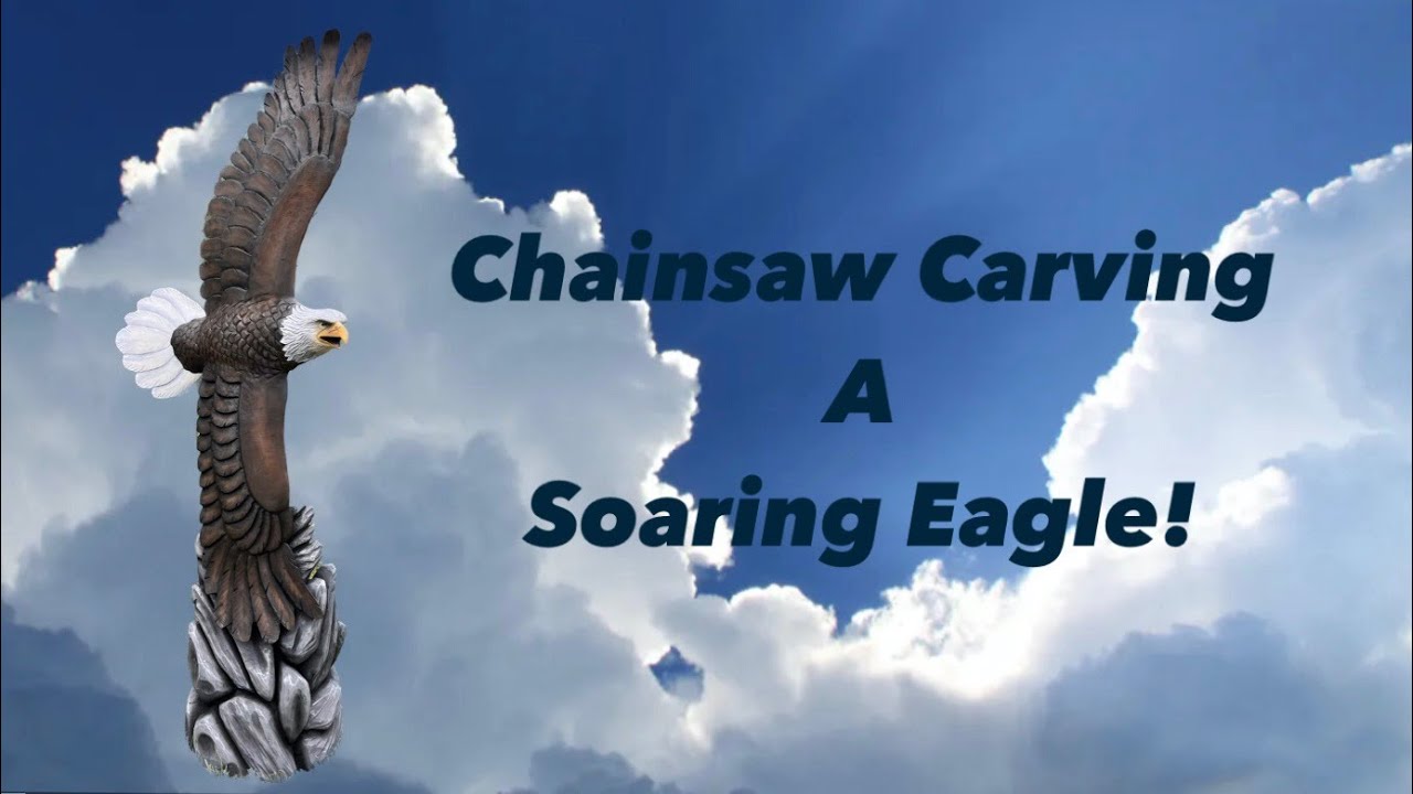 Soaring Eagle Takes Flight