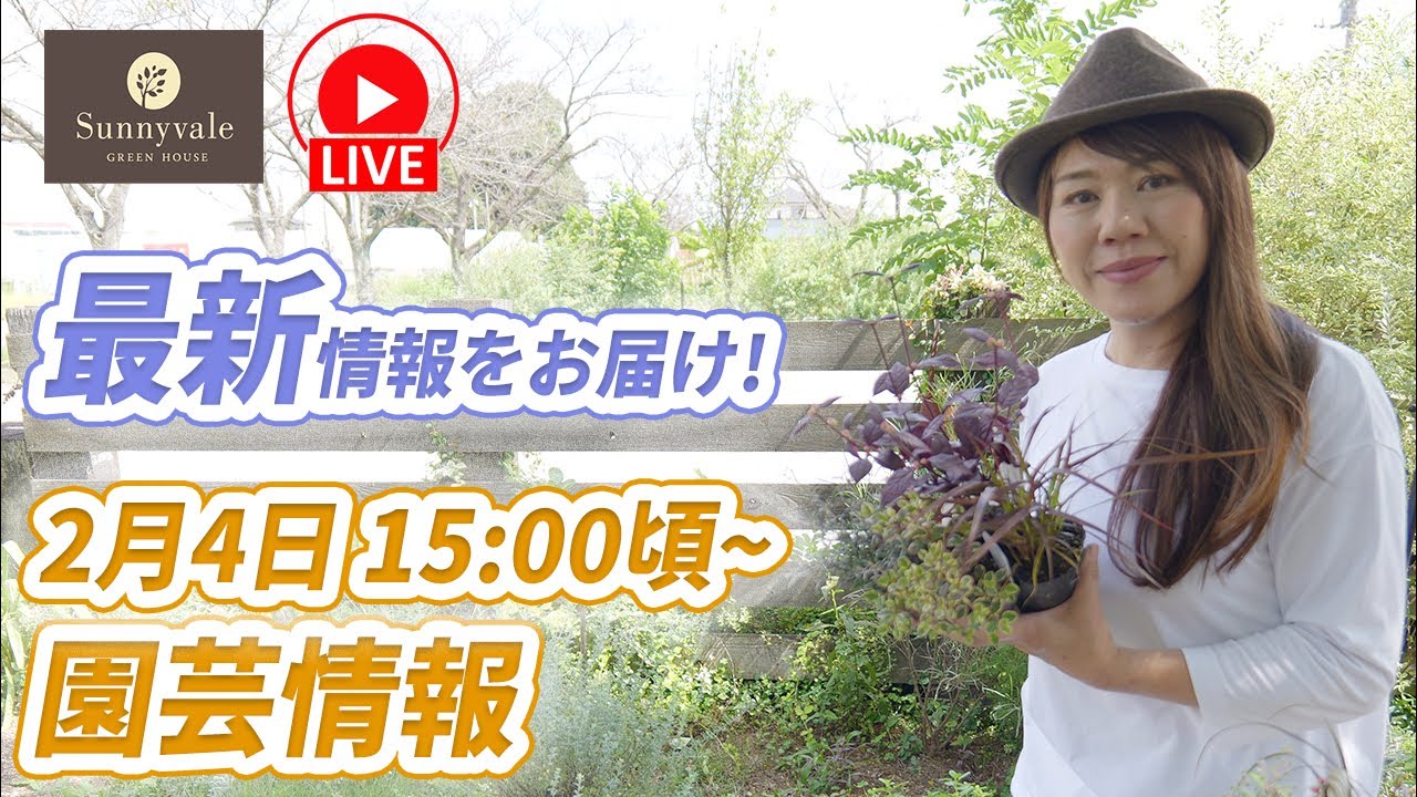 園芸情報2月4日水曜ライブ15時過ぎごろから！