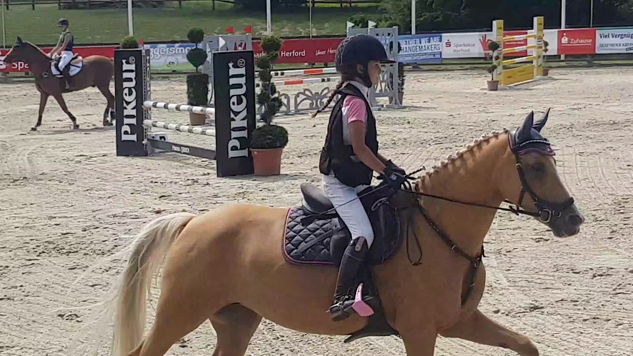 Malu (10) und Duebaree - German Friendships - Stil A* in Herford am 26.07.2019