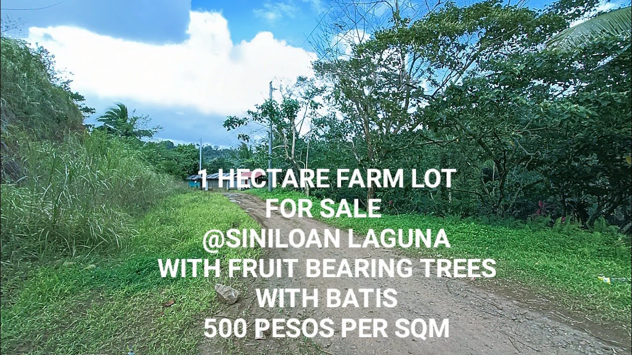 #vlog97   1 Hectare Farm Lot For Sale @Siniloan Laguna - w/ Batis -  500 Pesos Per SQM