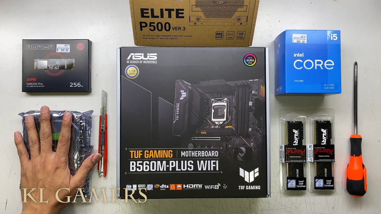 intel Core i5 11500 ASUS TUF GAMING B560M-PLUS WIFI DarkFlash LEO PC Build