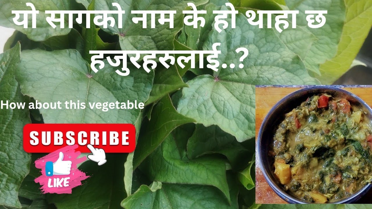 Saag Recipe आज अमिलो साग पकाए😋