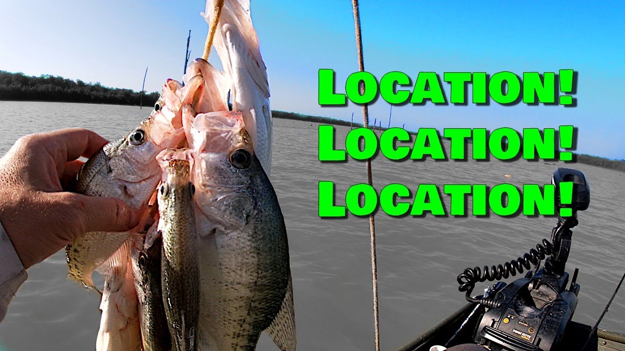 Summer Crappie Fishing Finding the Right Depth