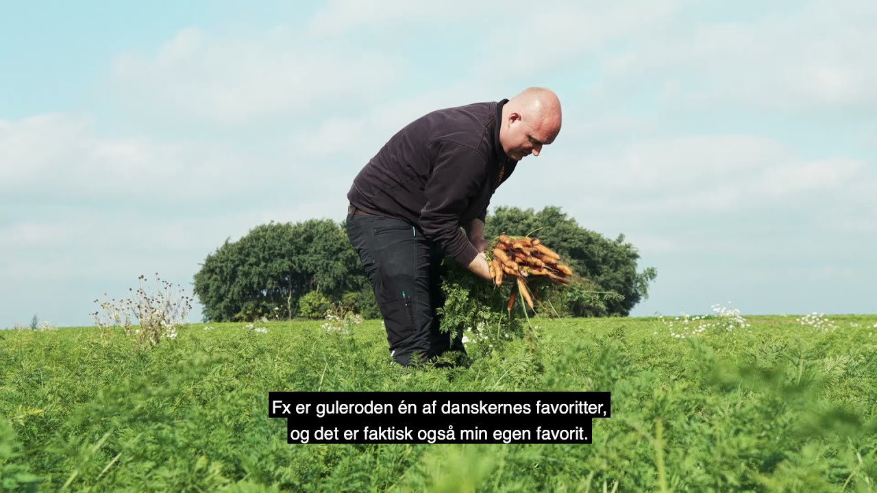 DanRoots