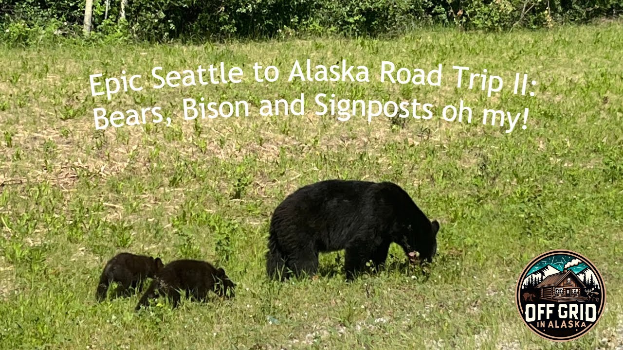 Epic Seattle to Alaska Road Trip II - Bears, Bison and Signposts Oh My!