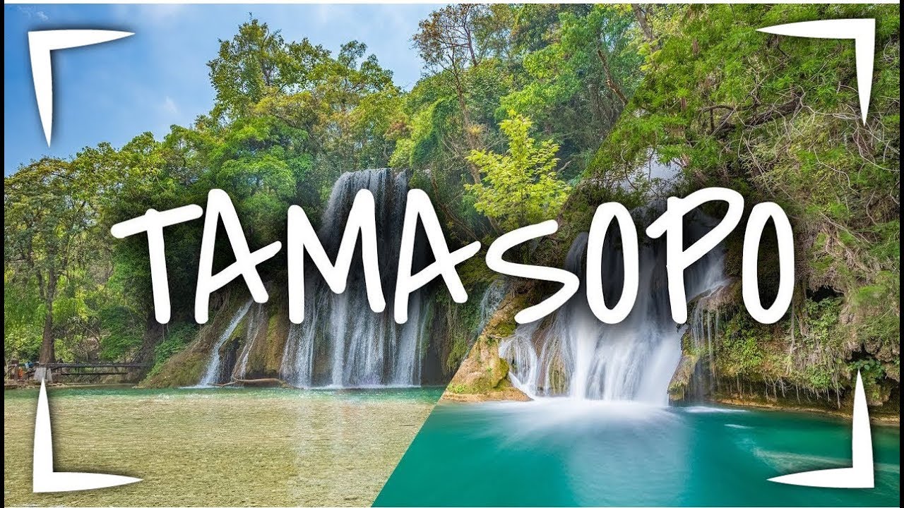 TAMASOPO Huasteca Potosina 🔴 Pozitas naturales y cuerdas de Tarzán