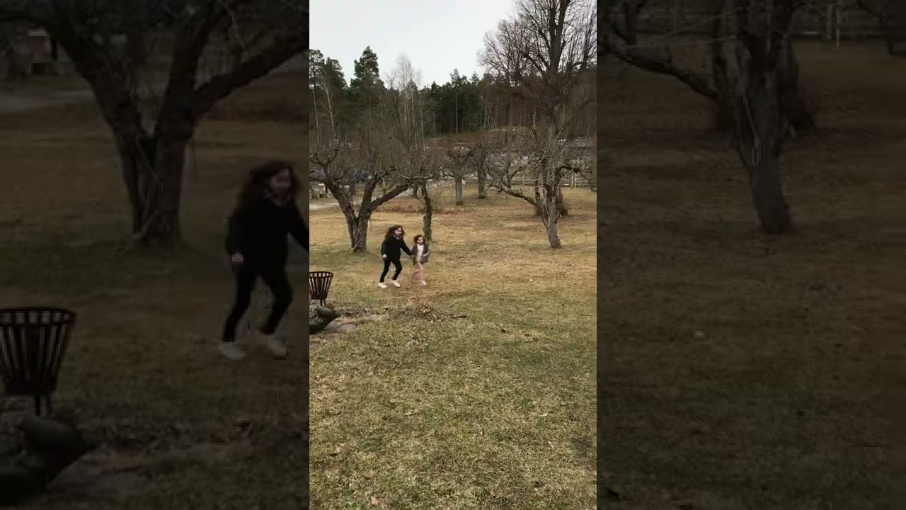 Sommarskuggan på jakt