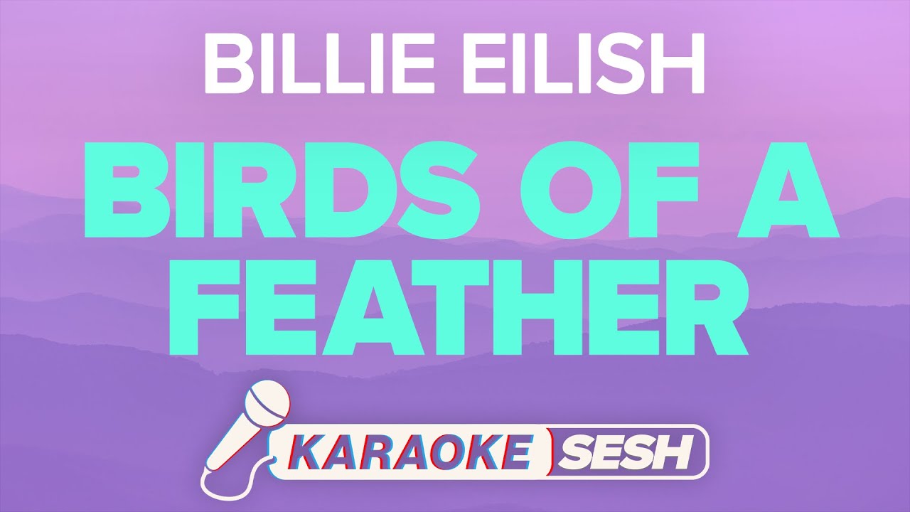 Billie Eilish - BIRDS OF A FEATHER (Karaoke)