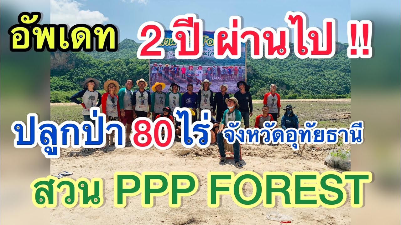 อัพเดทสวน PPP FOREST พื้นที่ 80 ไร่ ที่อุทัยธานี l คนรักษ์ป่า EP.267