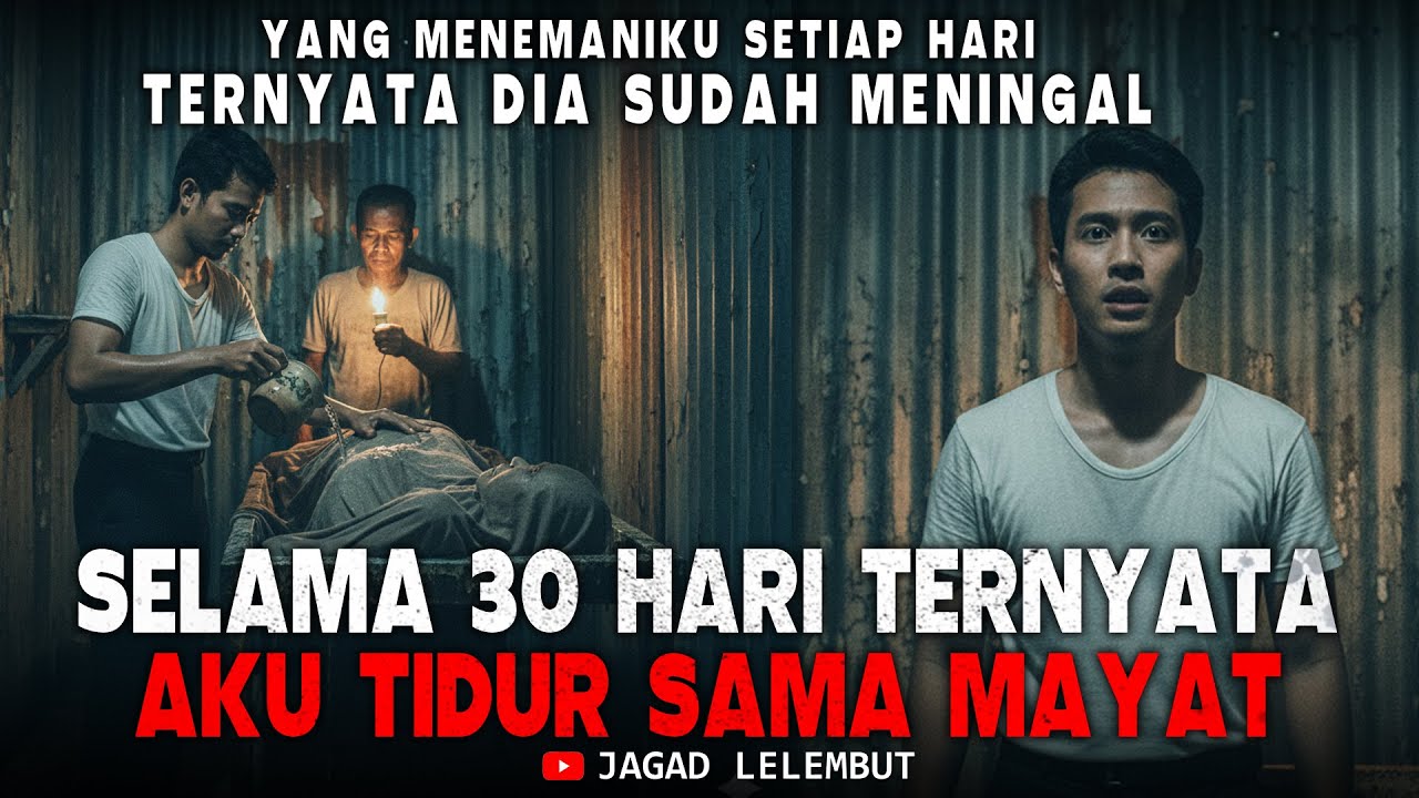 Aku Tak Menyangka !!! Ternyata Aku Tidur Sama Mayat Selama 30 Hari - Kisah Horor