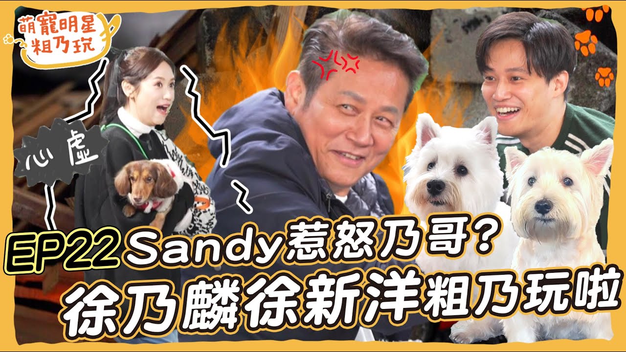[SUB]EP22 徐乃麟 徐新洋 父子粗乃玩啦！ Sandy 差點惹怒乃哥？ 來賓竟變主持人？【 萌寵明星粗乃玩 】@haveapetday 呵喜 曼曼 波波