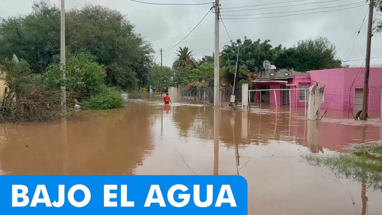 TELENOCHE ¡EN VIVO!